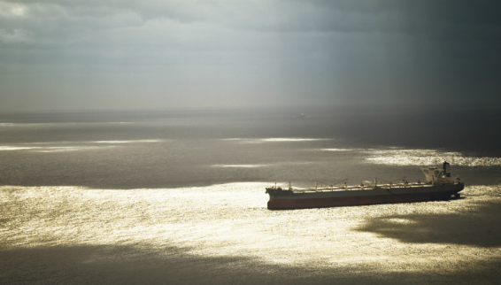 Rupee depreciation fuels incremental gains in India&rsquo;s dry bulk export volumes