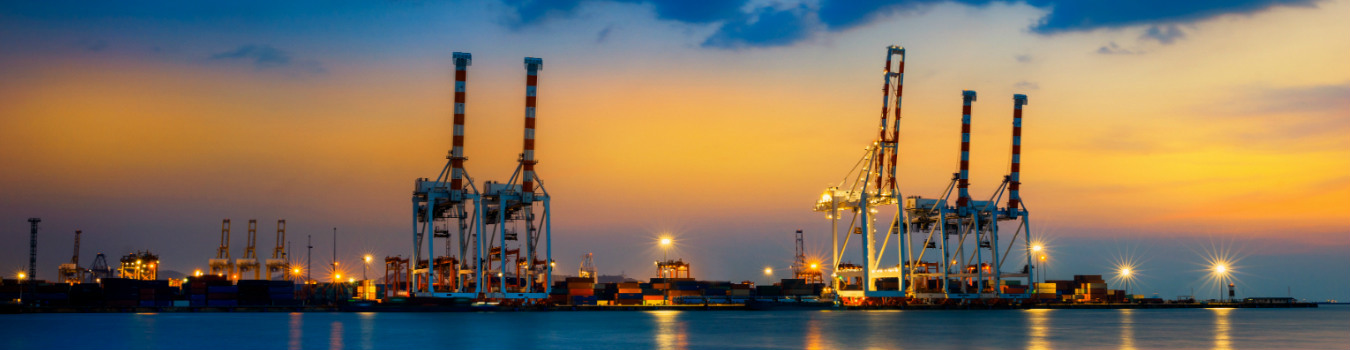 Advisory services in the ports sector