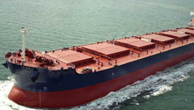 Due Diligence of dry bulk shipping company