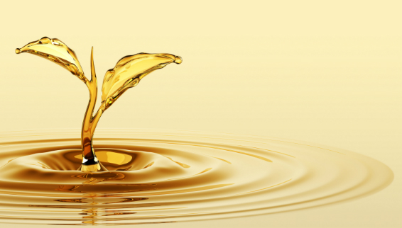Black Sea disruptions to weigh on vegoil carrier demand