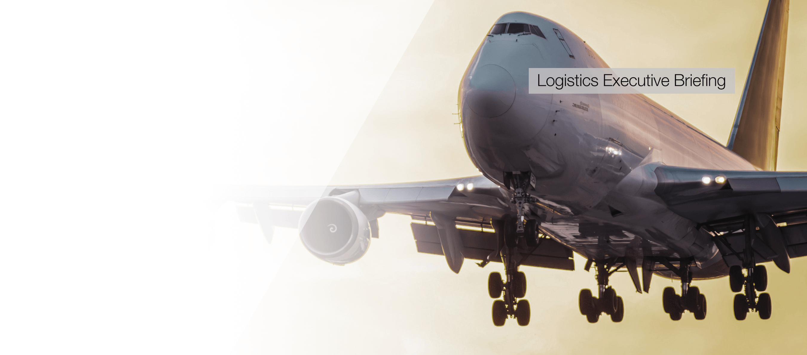 /maritime-research-opinion-browser/shippers-respond-to-an-erratic-airfreight-market