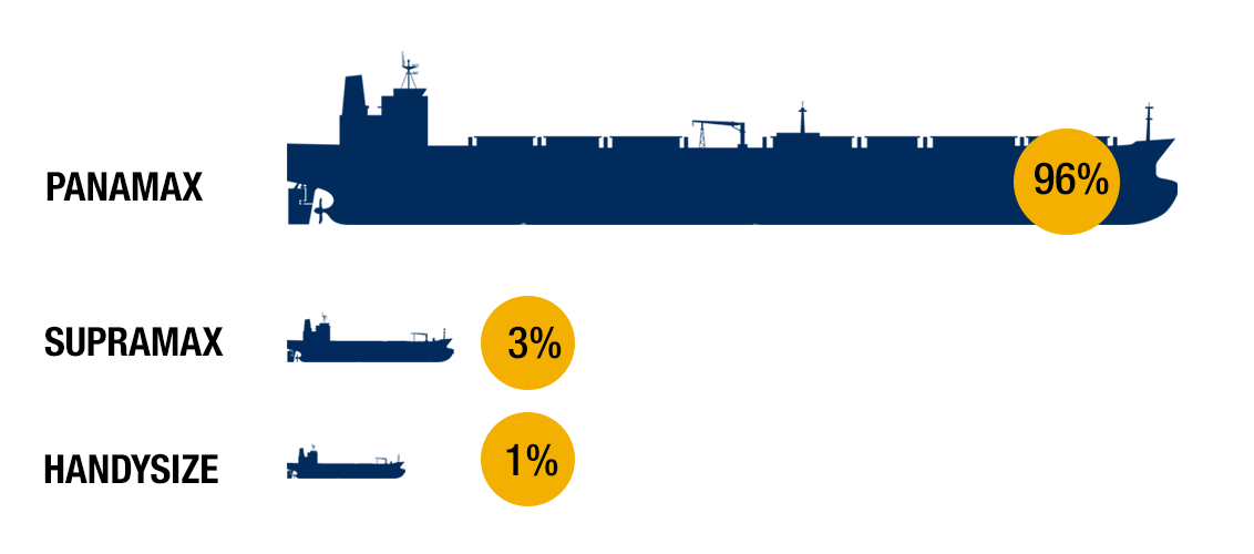 Figure 2: Panamax dominates the US-China Soybean trade (1H25)
