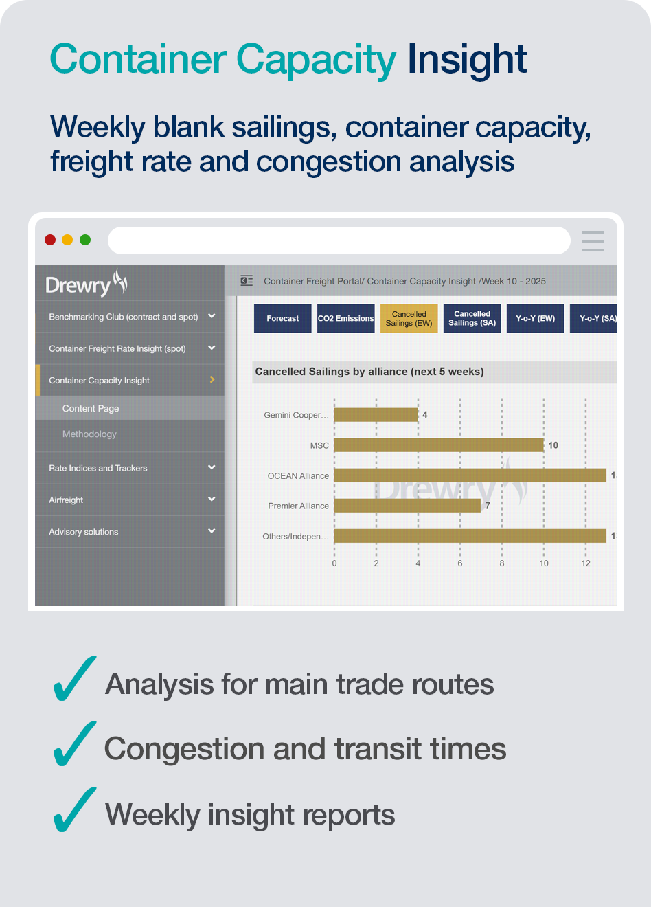 Container Capacity Insight (Annual Subscription)